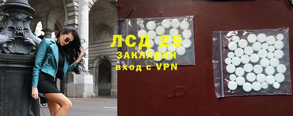 ГАЛЛЮЦИНОГЕННЫЕ ГРИБЫ Алзамай