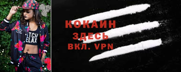 гидра Няндома
