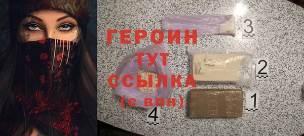 гидра Няндома