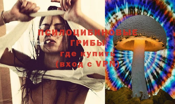 ГАЛЛЮЦИНОГЕННЫЕ ГРИБЫ Алзамай