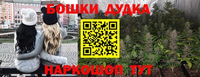 эйфоретик Новокубанск