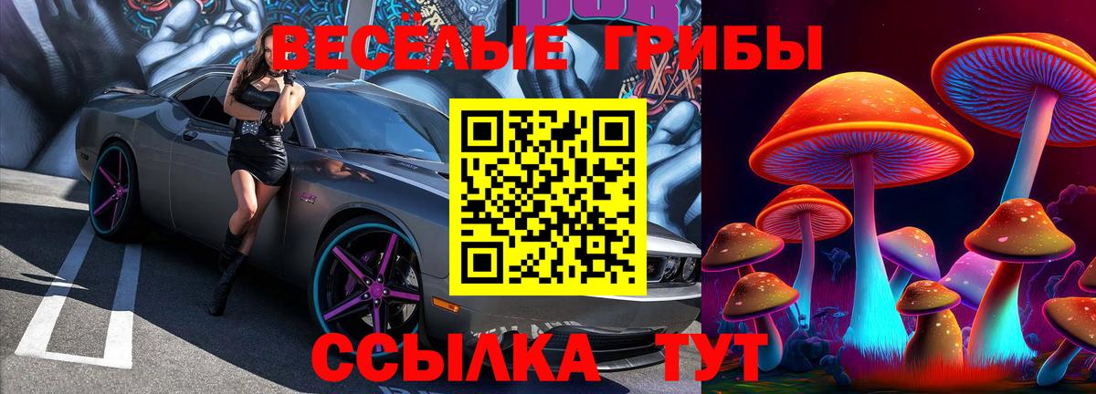 Галлюциногенные грибы MAGIC MUSHROOMS  Галлюциногенные грибы Psilocybine cubensis  Вход с VPN  Ставрополь 